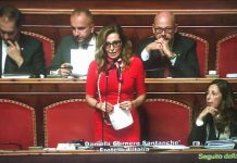 Decreto Sicurezza, il mio intervento al Senato