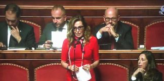 Decreto Sicurezza, il mio intervento al Senato
