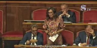 Taglio parlamentari, l’intervento in Senato