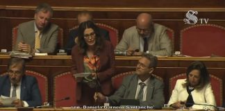 Fiducia Conte bis, il mio intervento in Senato