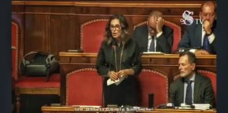 Reddito di cittadinanza, il mio intervento in Senato