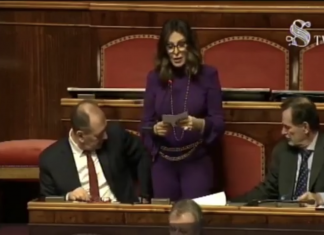 Tutte le contraddizioni del Governo, intervento al Senato