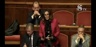 Emergenza Coronavirus, intervento in Senato