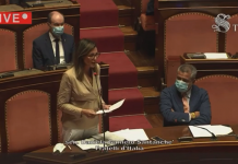CONTE IN EUROPA HA SOLO AUMENTATO I DEBITI, il mio intervento in Senato