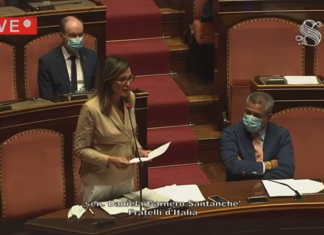 CONTE IN EUROPA HA SOLO AUMENTATO I DEBITI, il mio intervento in Senato